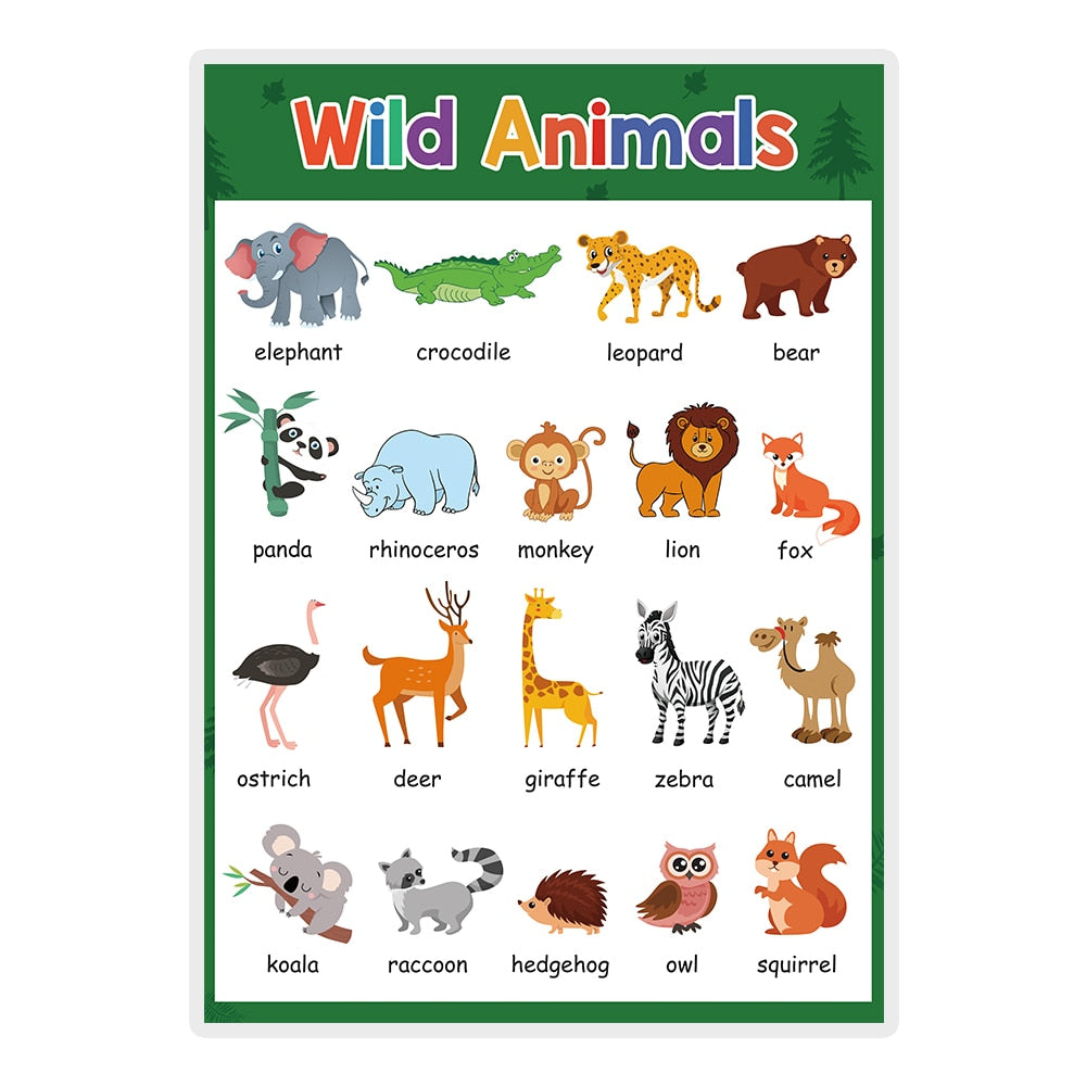 Learning Posters for Pre-K/Kinder