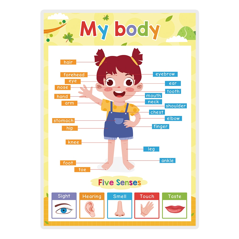 Learning Posters for Pre-K/Kinder