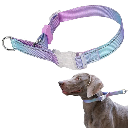 BELLA & PAL Reflective Slip Collar for Dogs