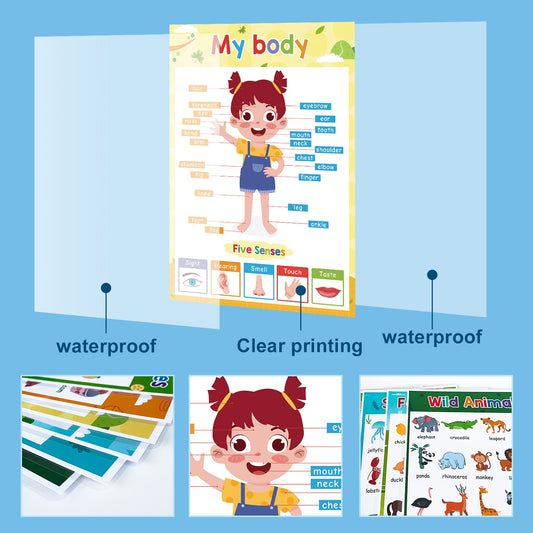 Learning Posters for Pre-K/Kinder